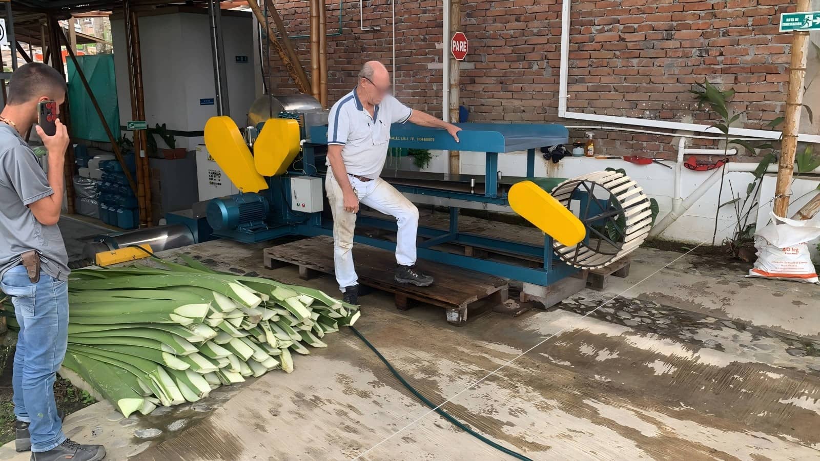 Fiber extraction site 4